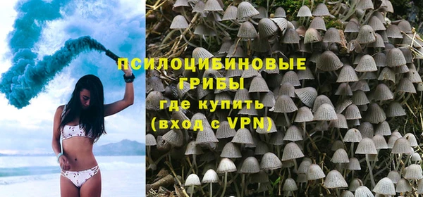 таблы Пересвет