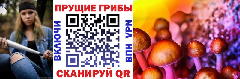 blacksprut вход Почеп Галлюциногенные грибы мухоморы