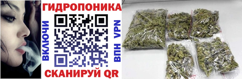 mega как войти  Почеп  Каннабис конопля  продажа наркотиков 